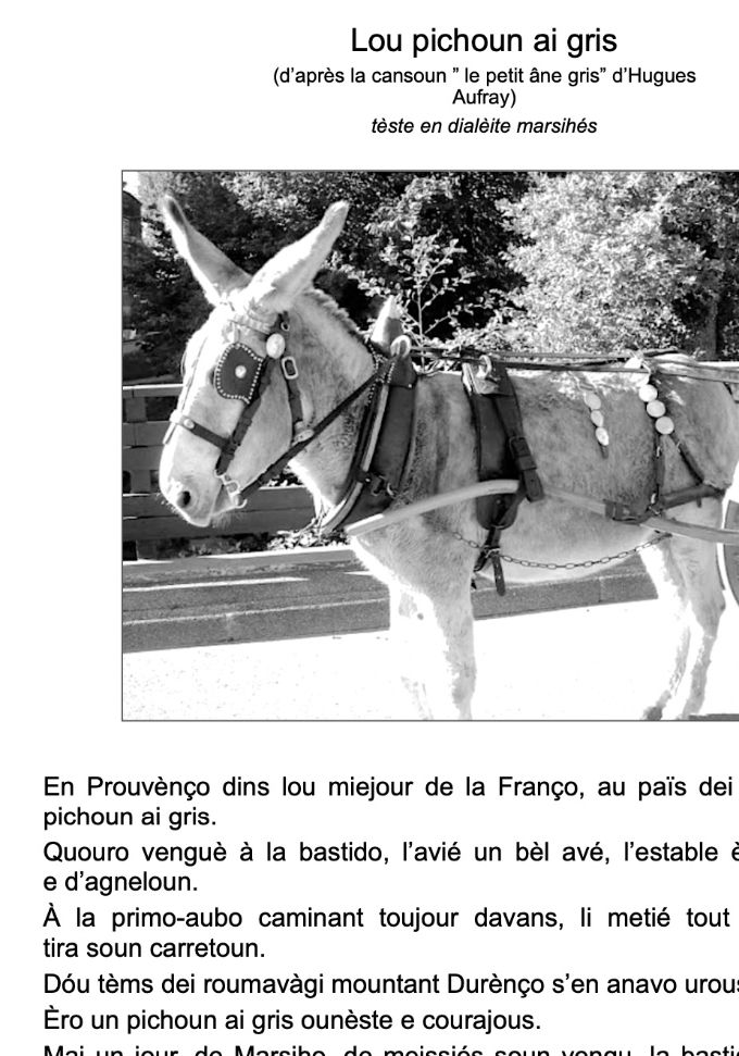 LOU PICHOUN AI GRIS pèr Jàqui